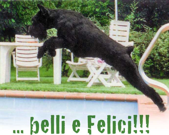 ... belli e felici!!!